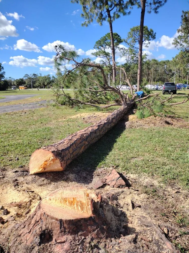 Trusted residential landscaping near you in Naples, FL by Abraham Landscaping