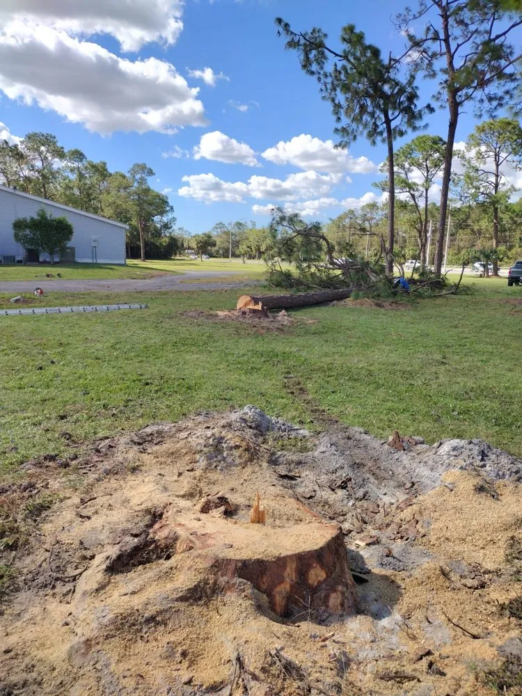 Reliable yard cleanup service experts serving Naples, FL - Abraham Landscaping