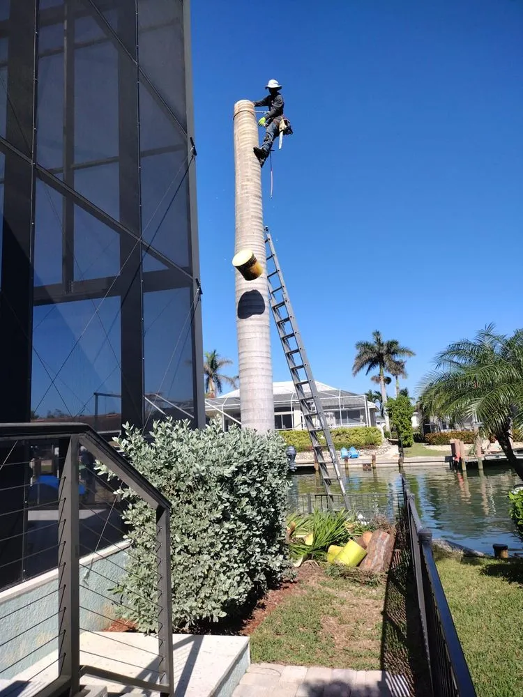 Trusted garden landscaping for year-round maintenance across Naples, FL - Abraham Landscaping