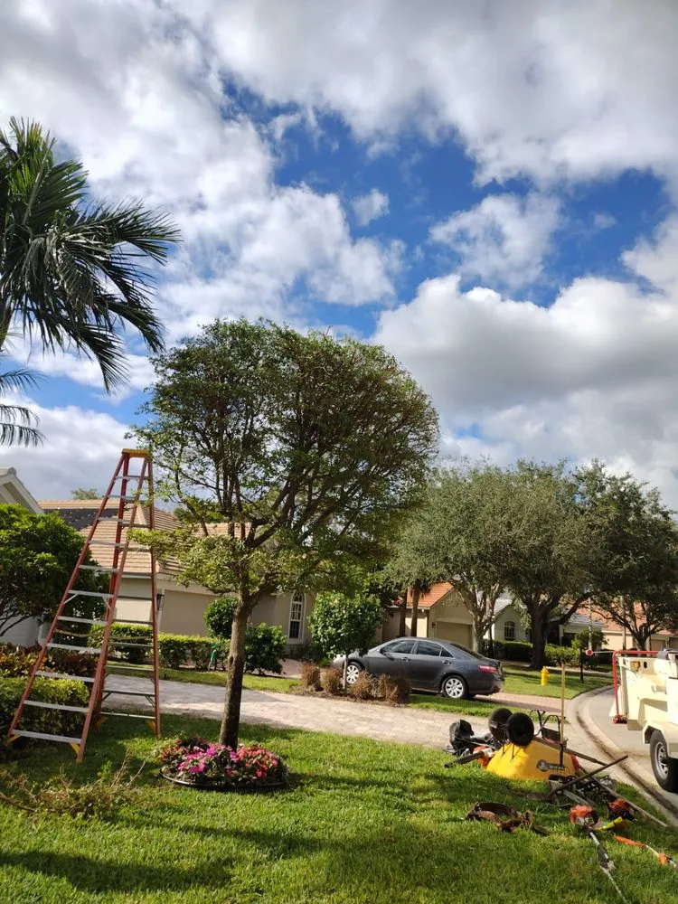 Top-rated landscape design experts serving Naples, FL - Abraham Landscaping