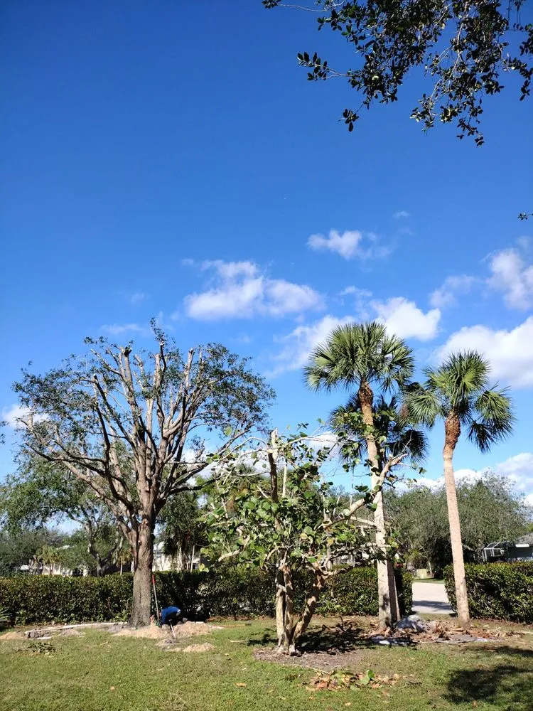 Custom outdoor landscaping in Naples, FL - Abraham Landscaping