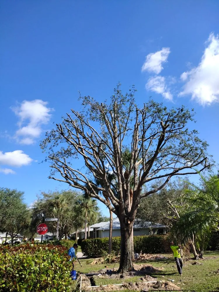 Professional lawn mowing service with custom design across Naples, FL - Abraham Landscaping