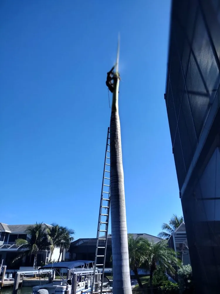 Affordable residential landscaping in Naples, FL - Abraham Landscaping