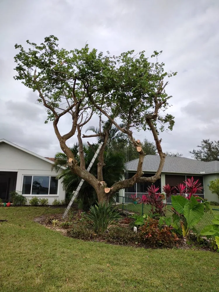 Top-rated outdoor landscaping in Naples, FL by Abraham Landscaping