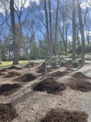 Abraham Landscaping Logo