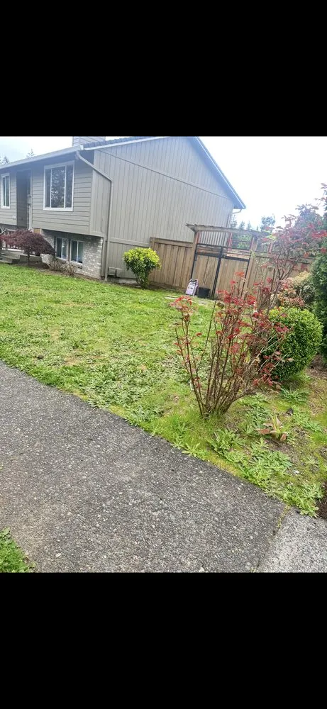 Local landscape installation for outdoor upgrades across Fairview, OR - Abraham’s Landscaping and Hardscaping