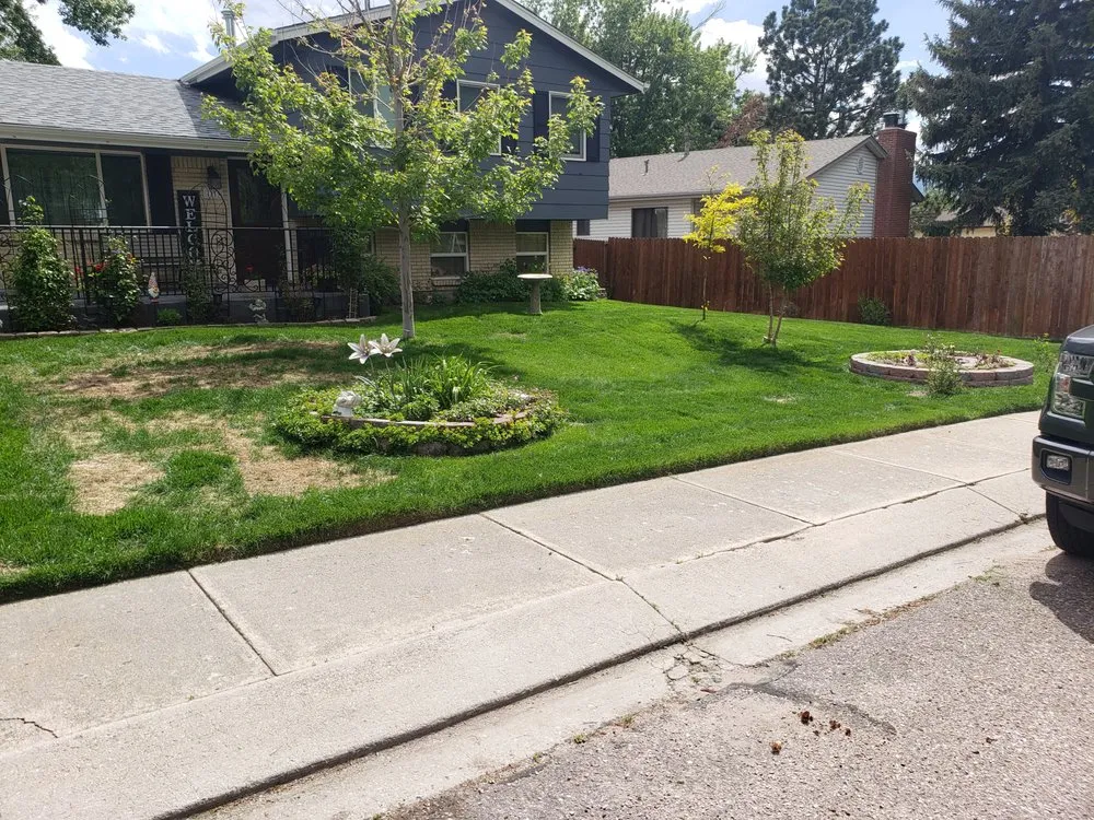 Top-rated garden landscaping for residential properties across Colorado Springs, CO - Abrahams Landscaping