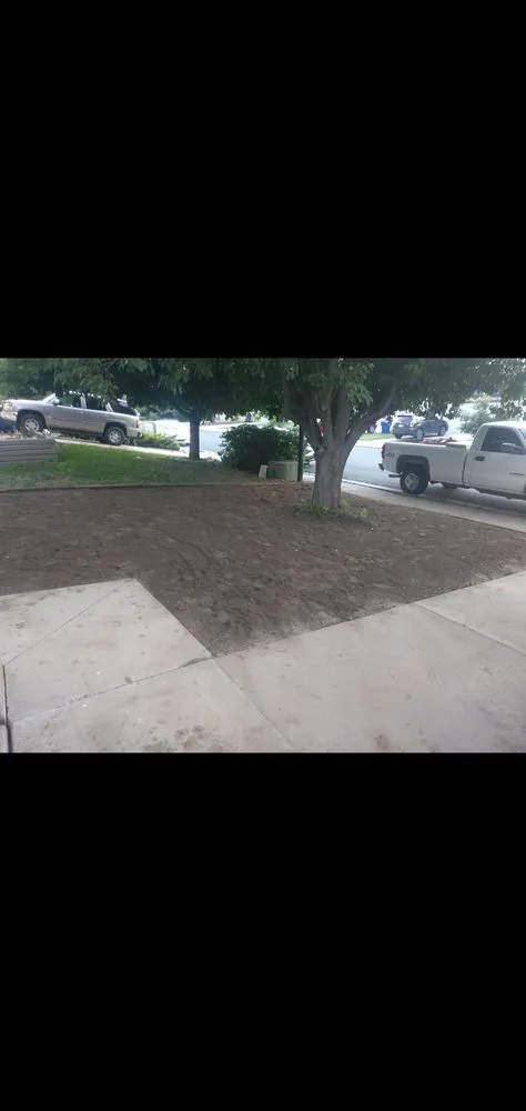 Trusted yard cleanup service near you across Colorado Springs, CO - Abrahams Landscaping