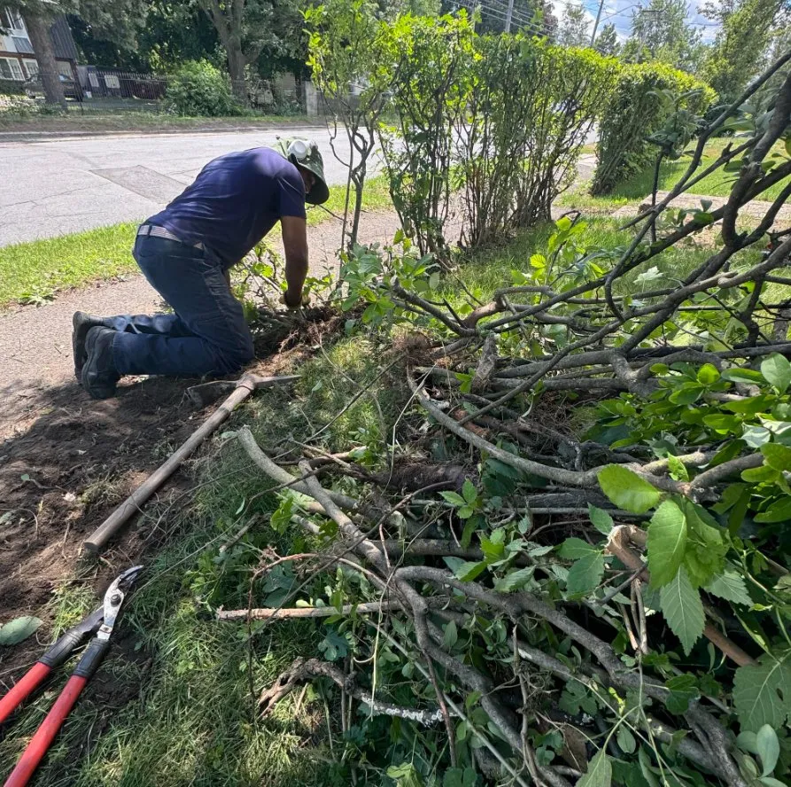 Top-rated landscape installation in Schenectady, NY - Abrahams Lawn care and Landscaping