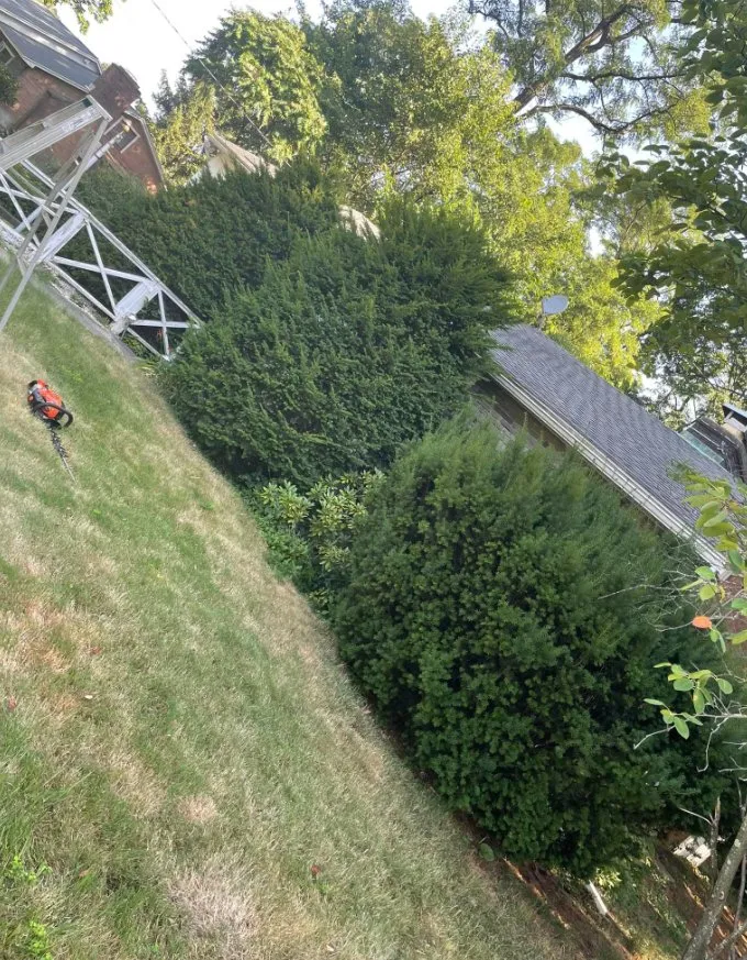 Reliable landscaping services for beautiful yards in Schenectady, NY by Abrahams Lawn care and Landscaping