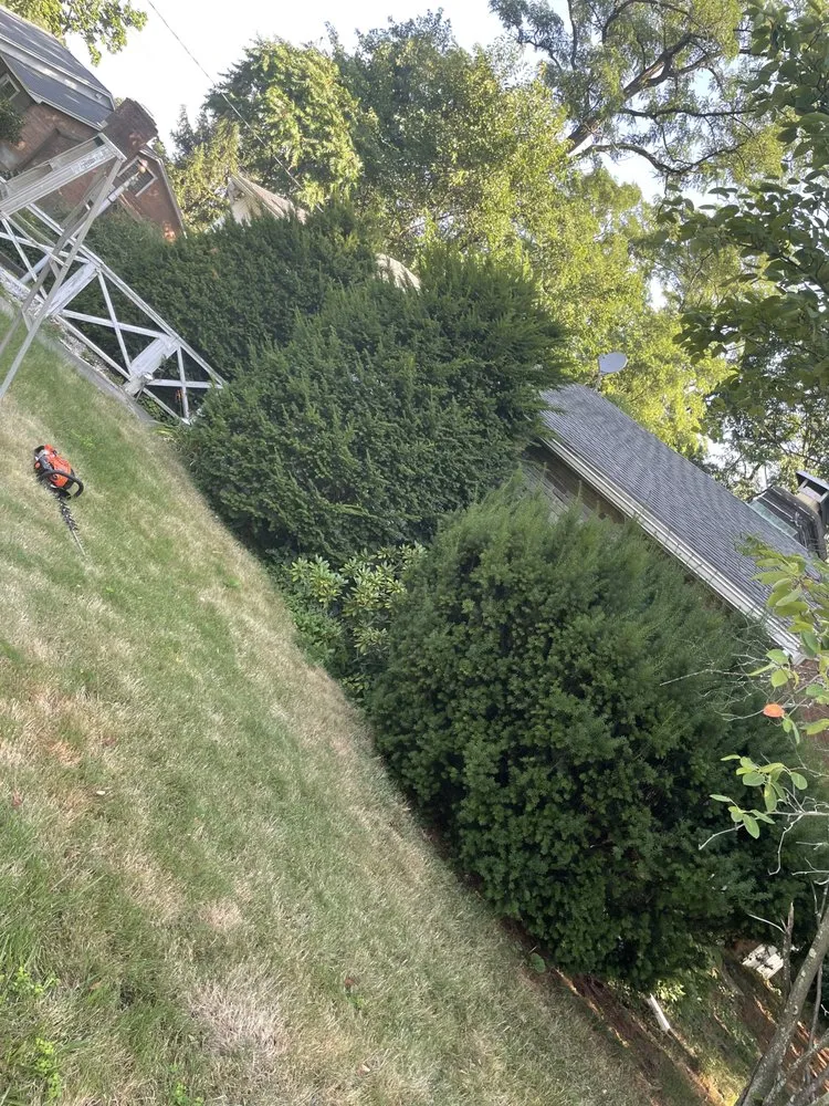 Reliable landscape installation experts serving Schenectady, NY - Abrahams Lawn care and Landscaping