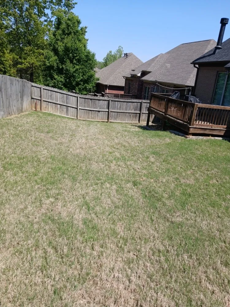 Top-rated yard cleanup service in Little Rock, AR - Abraham's Lawn Services