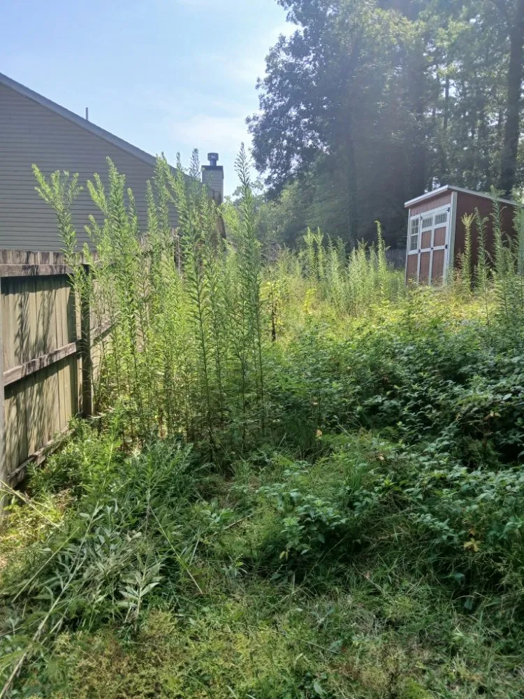 Affordable landscaping services in Little Rock, AR by Abraham's Lawn Services