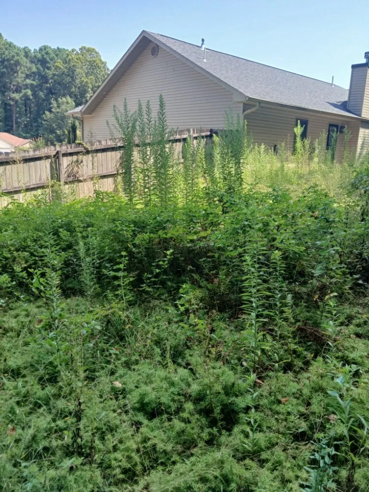 Custom garden landscaping with custom design across Little Rock, AR - Abraham's Lawn Services