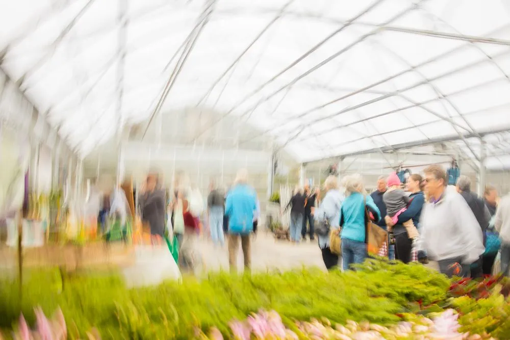 Reliable landscaping services in St Croix Falls, WI - Abrahamson Nurseries