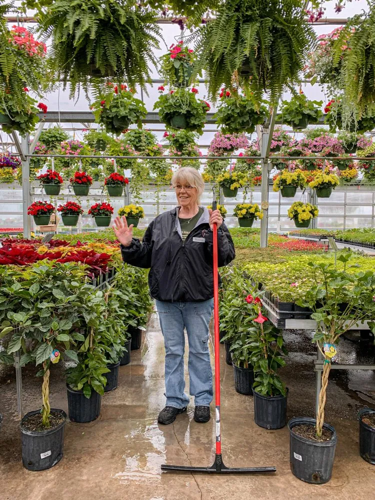 Reliable yard cleanup service for year-round maintenance across St Croix Falls, WI - Abrahamson Nurseries