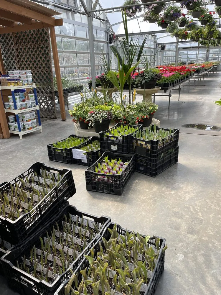 Reliable landscape design for outdoor upgrades across St Croix Falls, WI - Abrahamson Nurseries