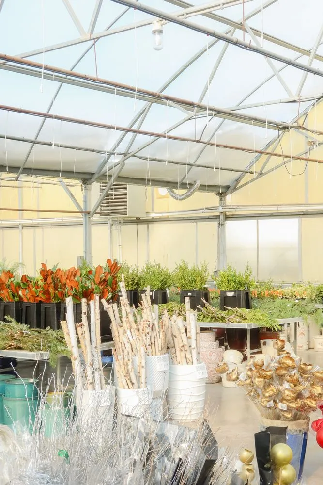Local outdoor landscaping in St Croix Falls, WI by Abrahamson Nurseries