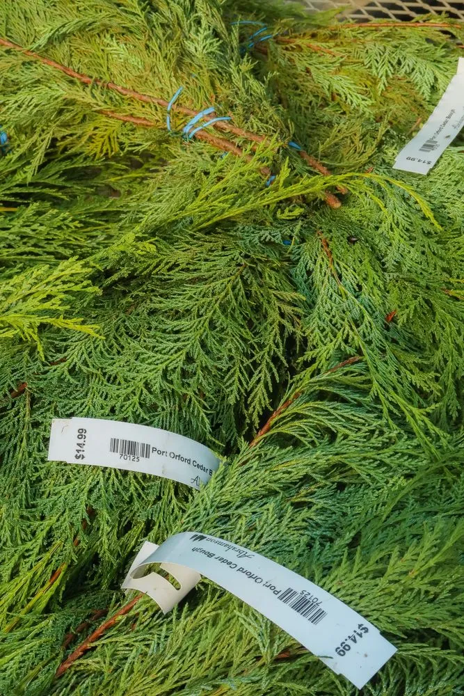 Top-rated garden landscaping experts serving St Croix Falls, WI - Abrahamson Nurseries