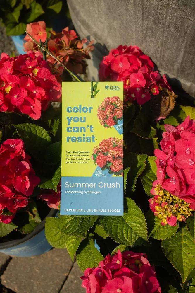 Reliable garden landscaping in St Croix Falls, WI by Abrahamson Nurseries