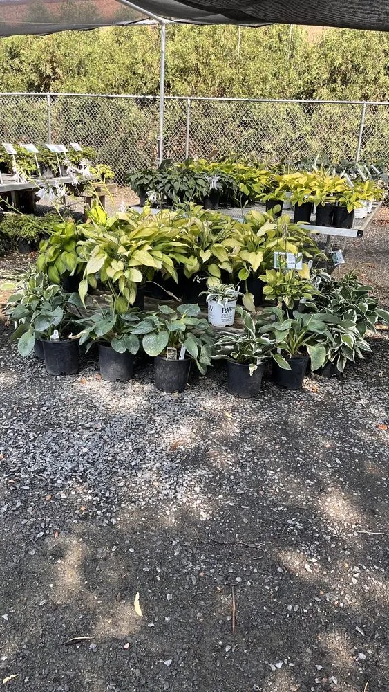 Professional landscaping services for year-round maintenance in Stillwater, MN by Abrahamson Nurseries