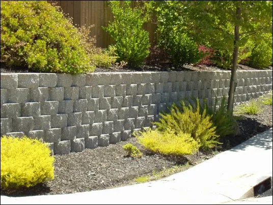 Reliable outdoor landscaping for year-round maintenance in LOOMIS, CA by ABRAMS BUILT Retaining Walls, Pavers, and Turf
