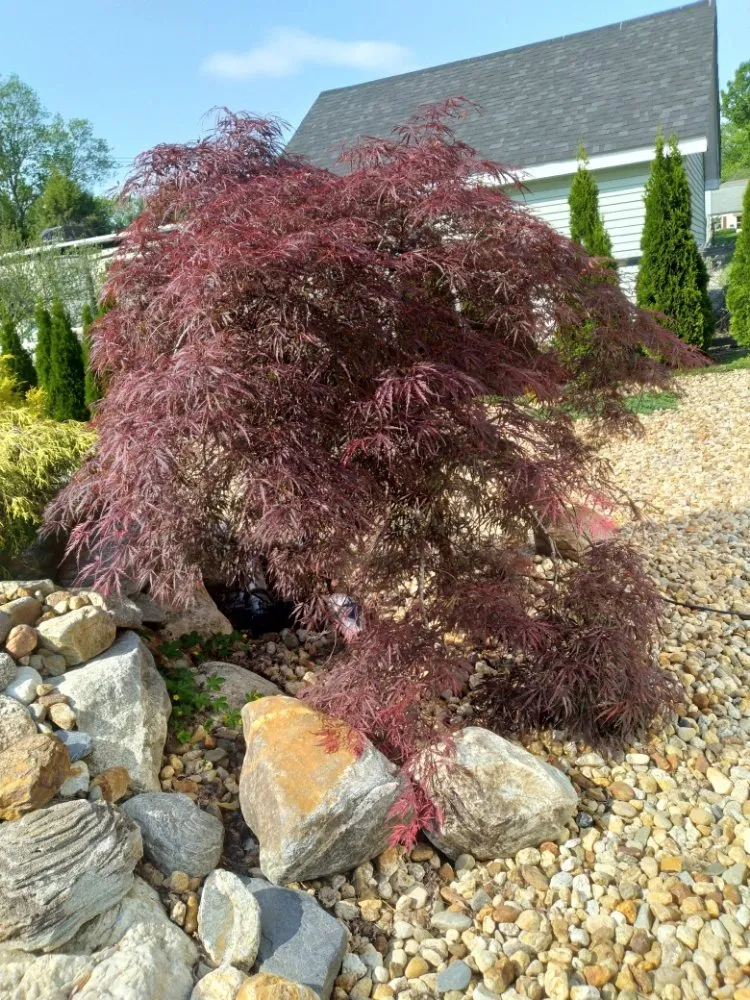 Professional garden landscaping in Chicopee, MA by Abram's Masonry