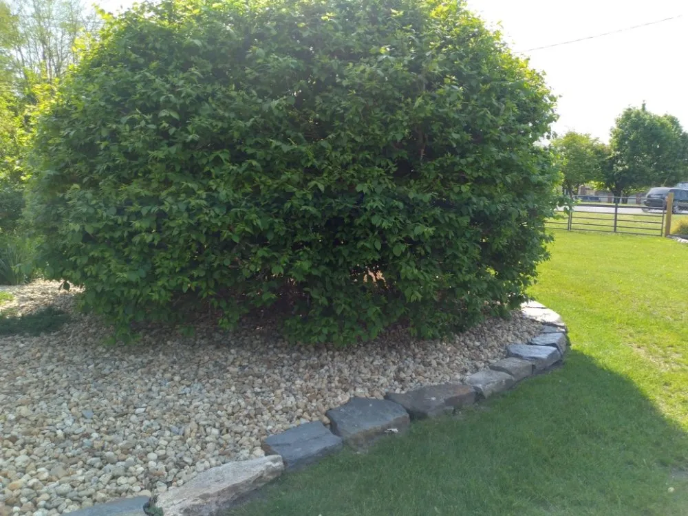 Reliable landscape design with custom design across Chicopee, MA - Abram's Masonry