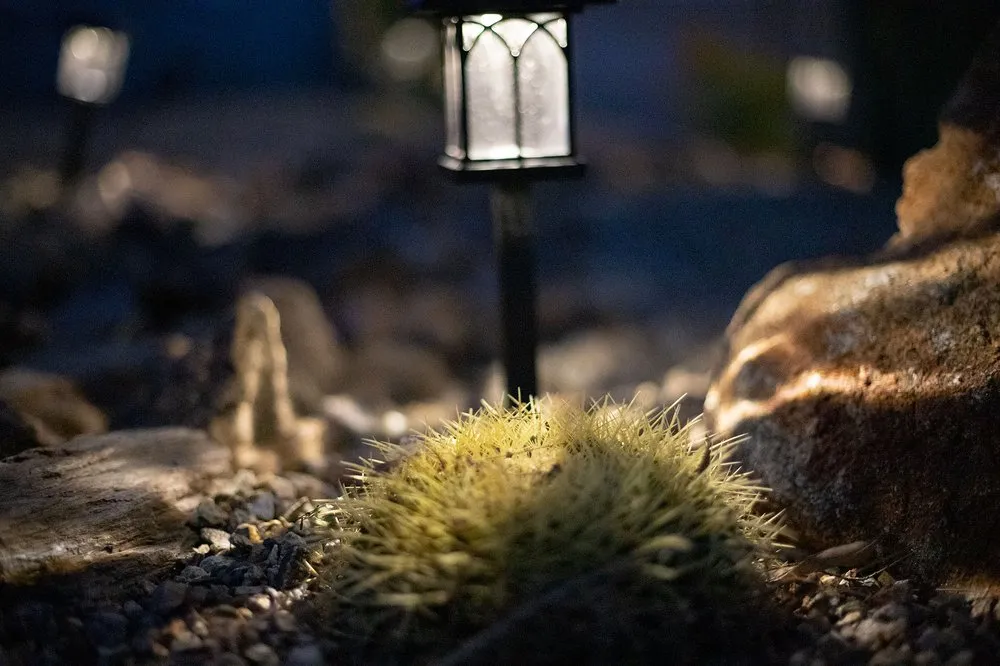 Reliable landscaping services in Tempe, AZ - Abraxas Landscaping