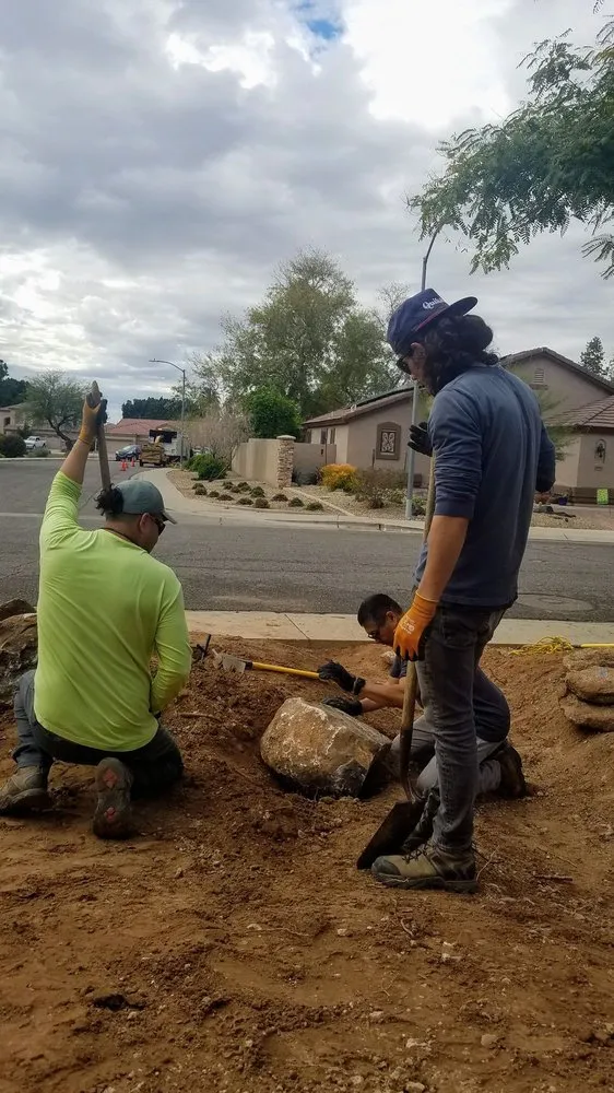 Trusted yard cleanup service in Tempe, AZ by Abraxas Landscaping