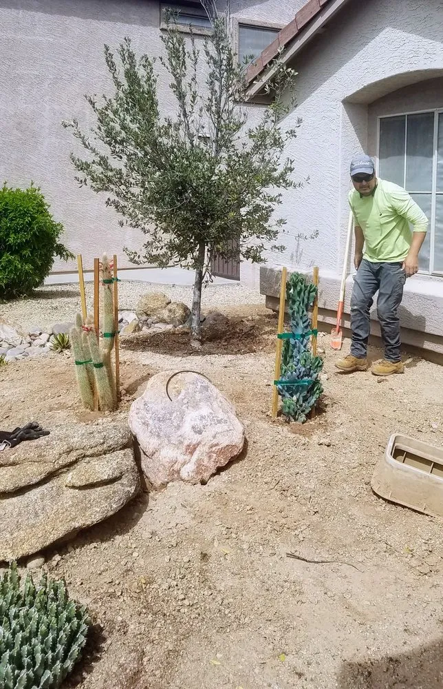 Reliable residential landscaping for homes in Tempe, AZ by Abraxas Landscaping
