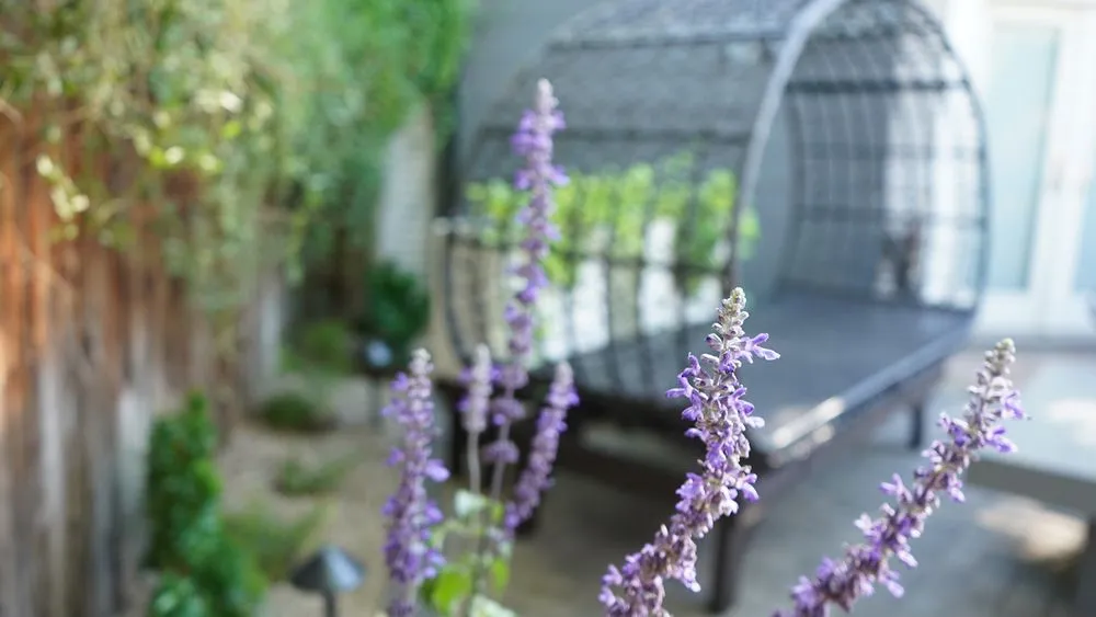 Custom lawn care service in Tempe, AZ - Abraxas Landscaping