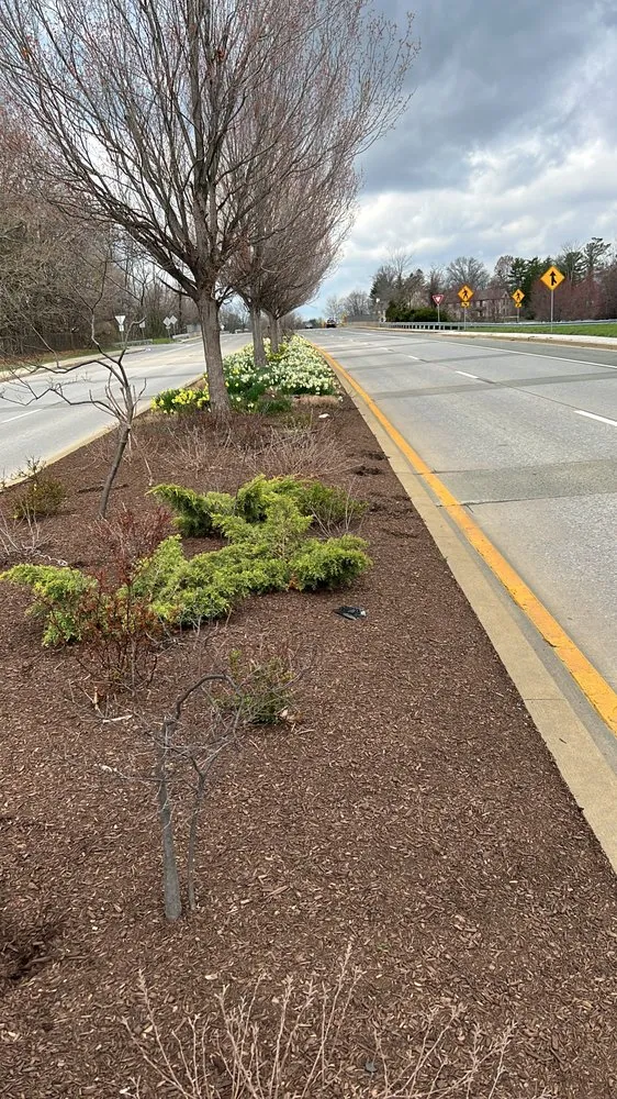 Affordable lawn care service in Newark, DE by Abrego's Lawn Service