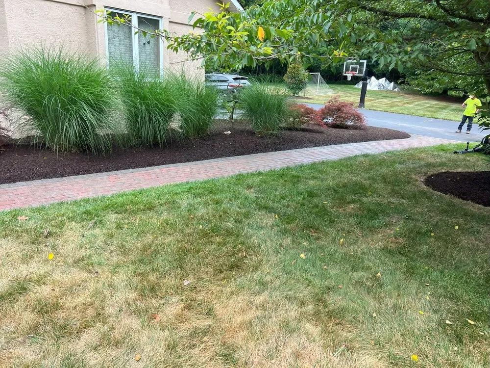 Reliable residential landscaping in Newark, DE by Abrego's Lawn Service