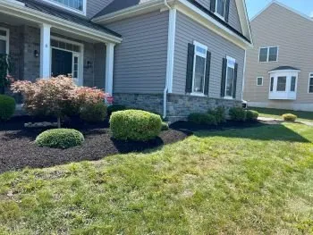 Local landscaping services for homes across Newark, DE - Abrego's Lawn Service