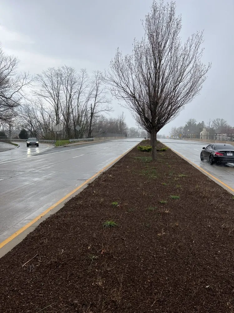 Custom lawn care service for residential properties in Newark, DE by Abrego's Lawn Service