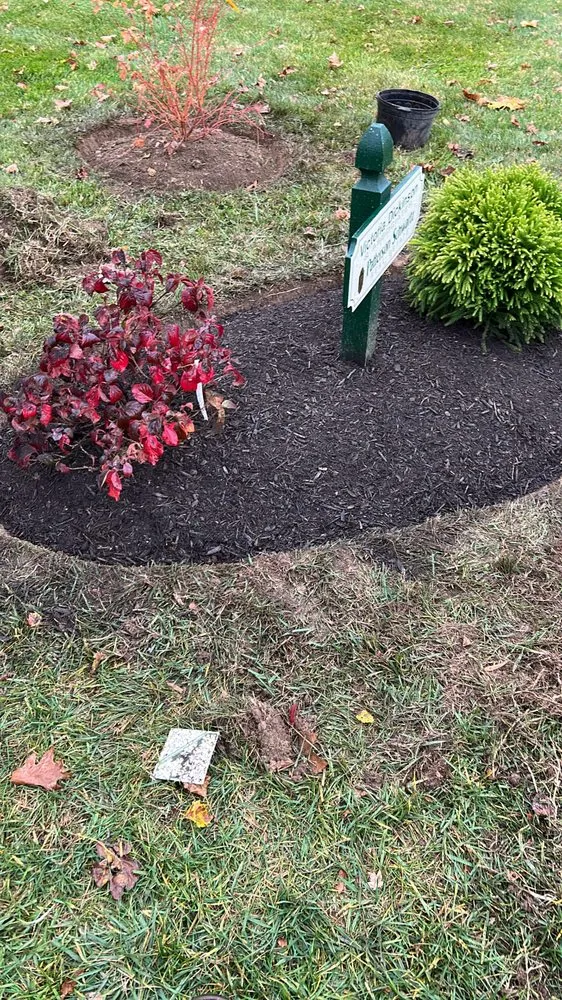 Affordable landscape design for homes in Newark, DE by Abrego's Lawn Service