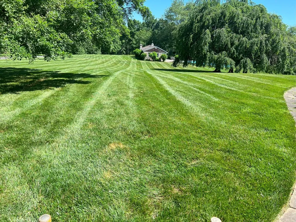 Custom landscaping services experts serving Newark, DE - Abrego's Lawn Service