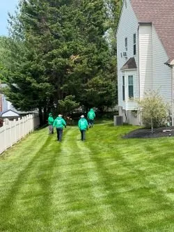 Affordable lawn mowing service for year-round maintenance across Newark, DE - Abrego's Lawn Service