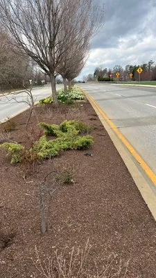 Abrego's Lawn Service Logo