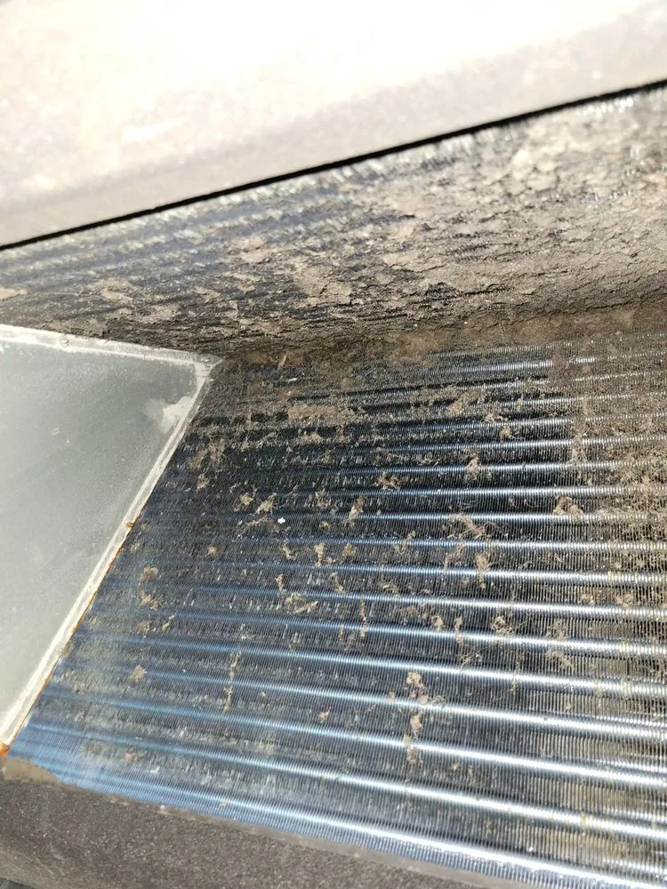 Affordable landscape design in Riverview, FL by Abroad Home Solutions