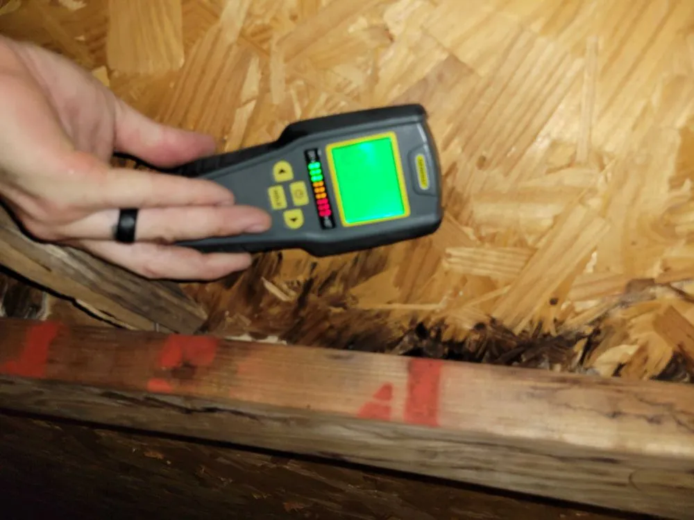 Top-rated lawn care service in Riverview, FL by Abroad Home Solutions