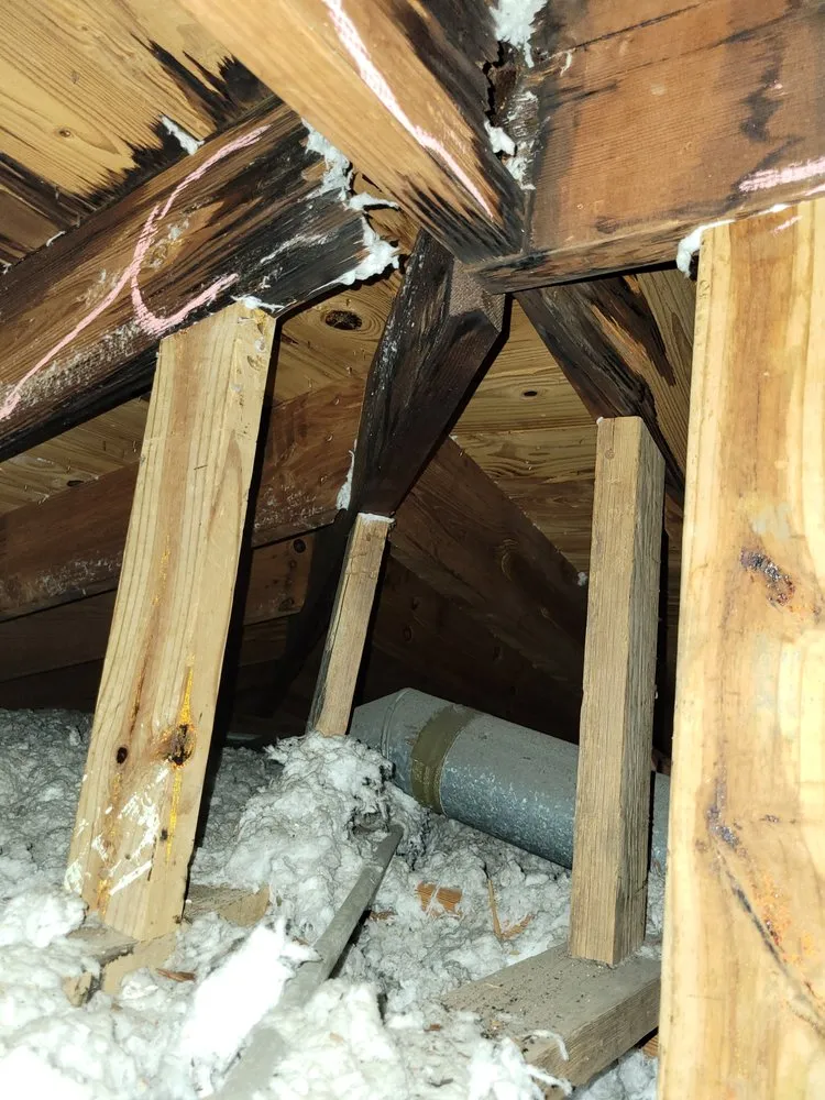 Top-rated lawn mowing service for year-round maintenance across Riverview, FL - Abroad Home Solutions