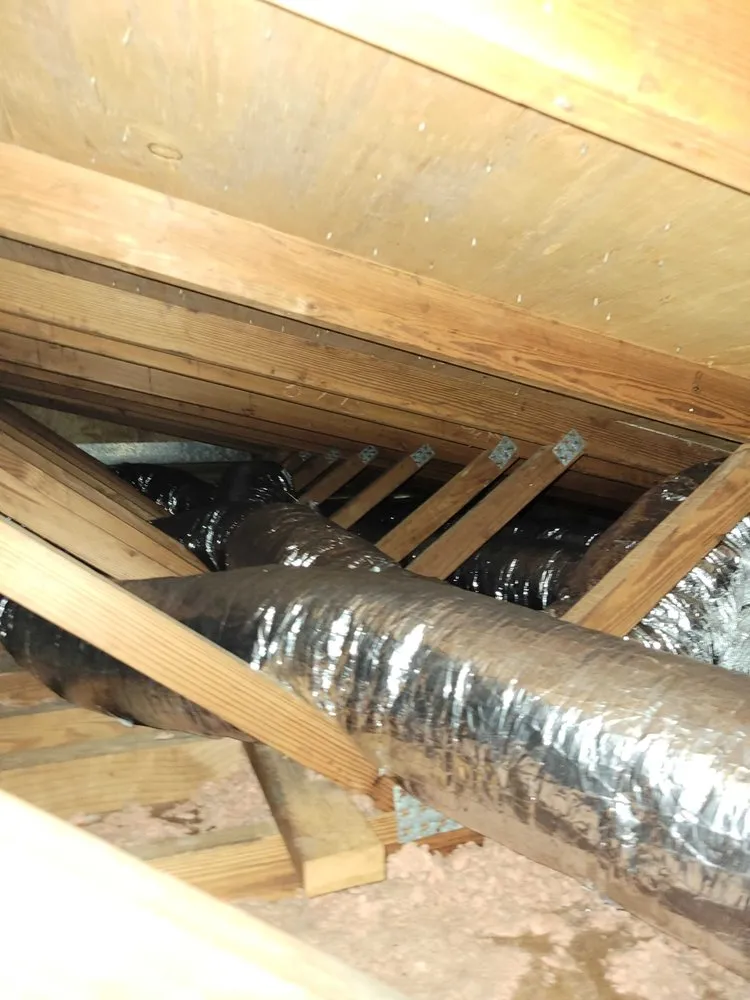 Professional yard maintenance in Riverview, FL by Abroad Home Solutions