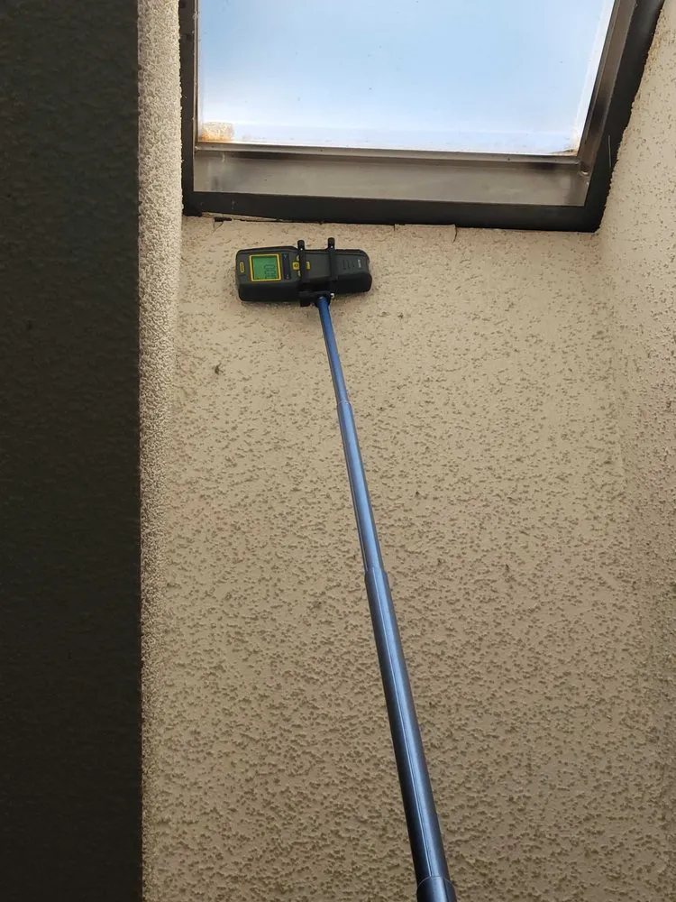 Expert yard cleanup service experts serving Riverview, FL - Abroad Home Solutions