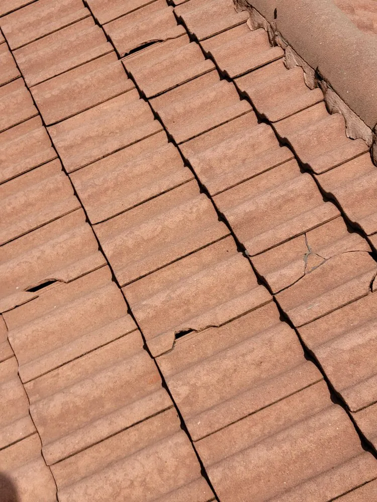 Expert landscape installation with custom design in Riverview, FL by Abroad Home Solutions