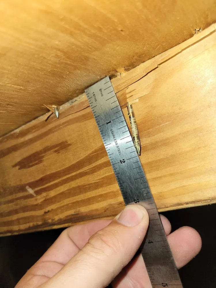 Affordable yard maintenance in Riverview, FL by Abroad Home Solutions