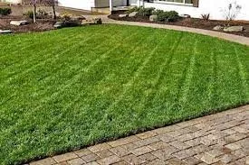 Trusted lawn mowing service in Biddeford, ME by Ab’s Gutter Cleaning & Lawn Care
