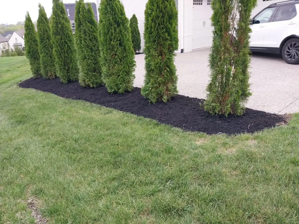 Affordable yard cleanup service experts serving Murfreesboro, TN - AB’s Landscape & Fence