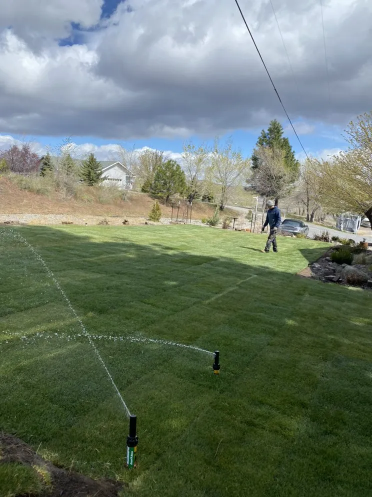 Expert outdoor landscaping near you in Portola, CA by AB's Landscape